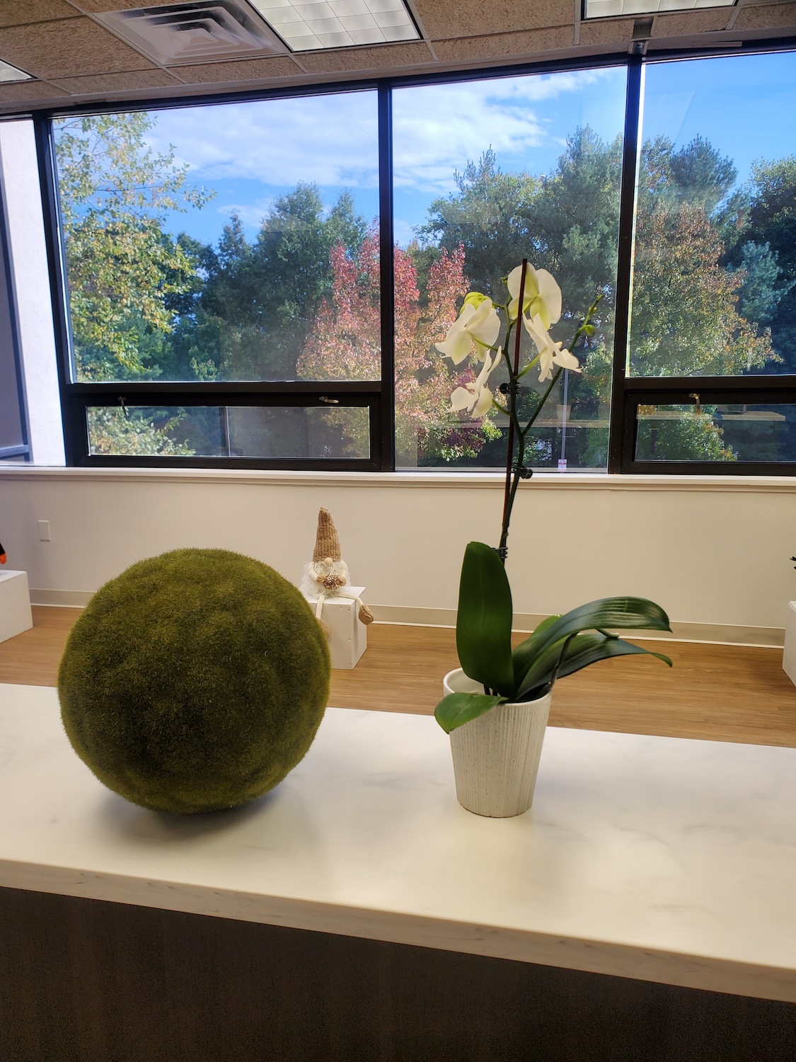 An interior view of a modern office space with a large window, green decorative ball, potted plant, vase with flowers, and a desk.